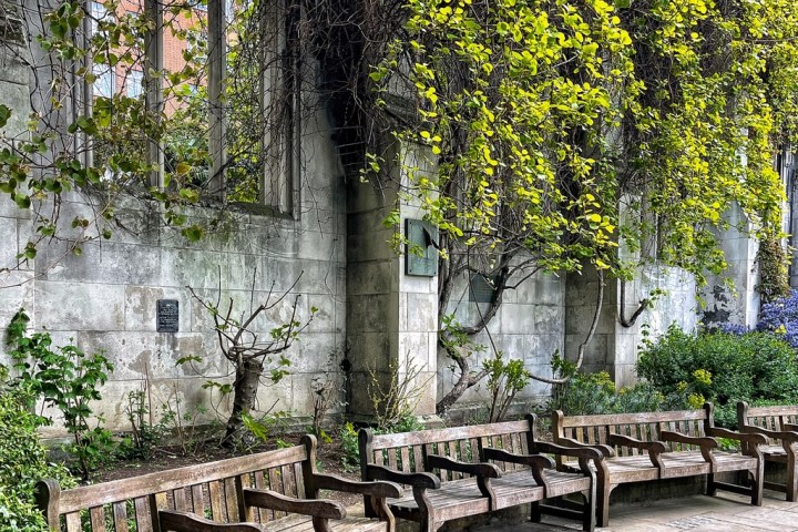 a wooden bench sitting next to a tree