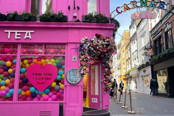 a group of pink flowers in front of a store